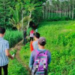 Kunjungan